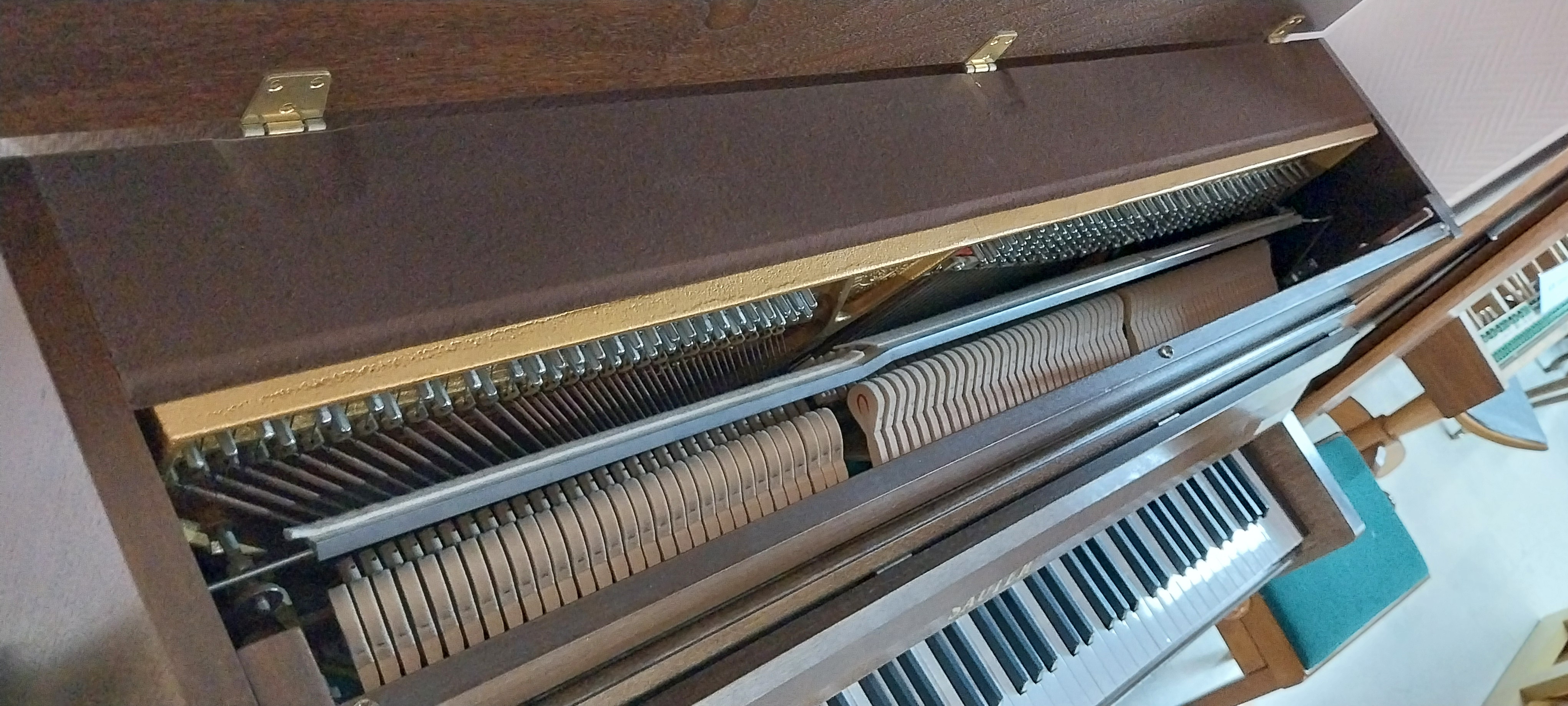 sauter 110