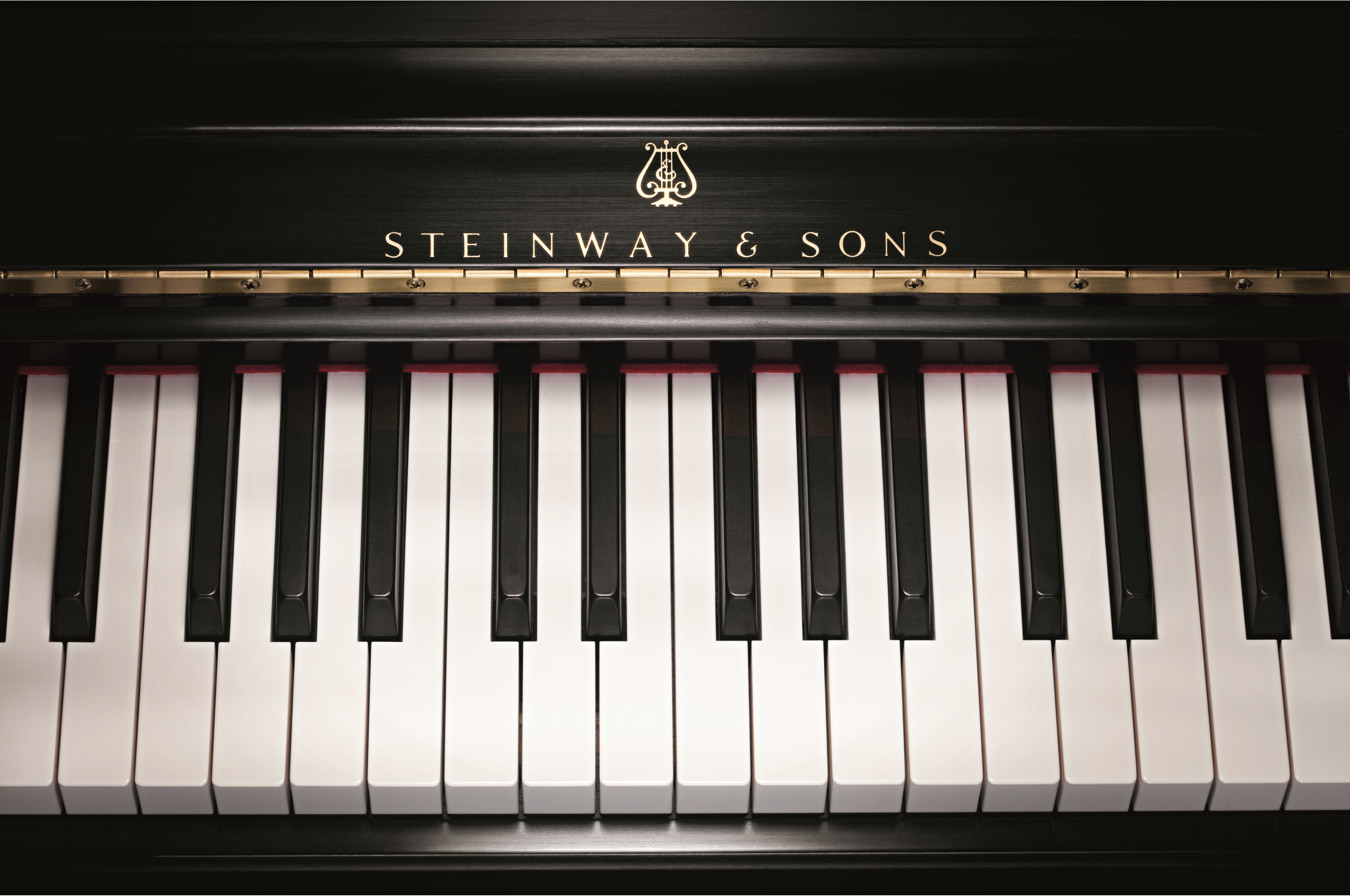 Клавиши рояля Steinway
